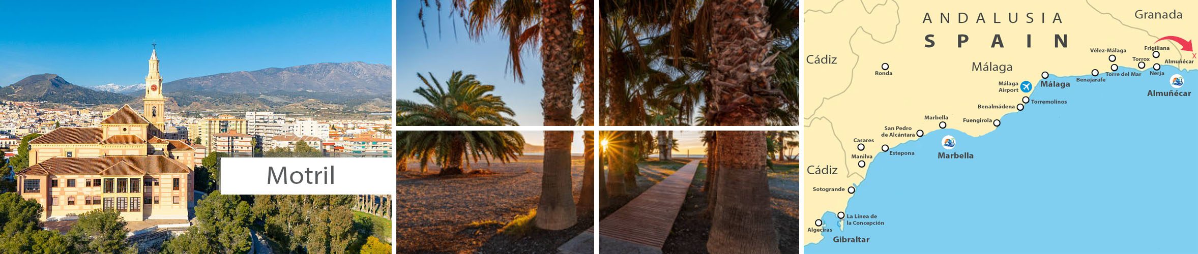 motril-location-area-immo-tropical